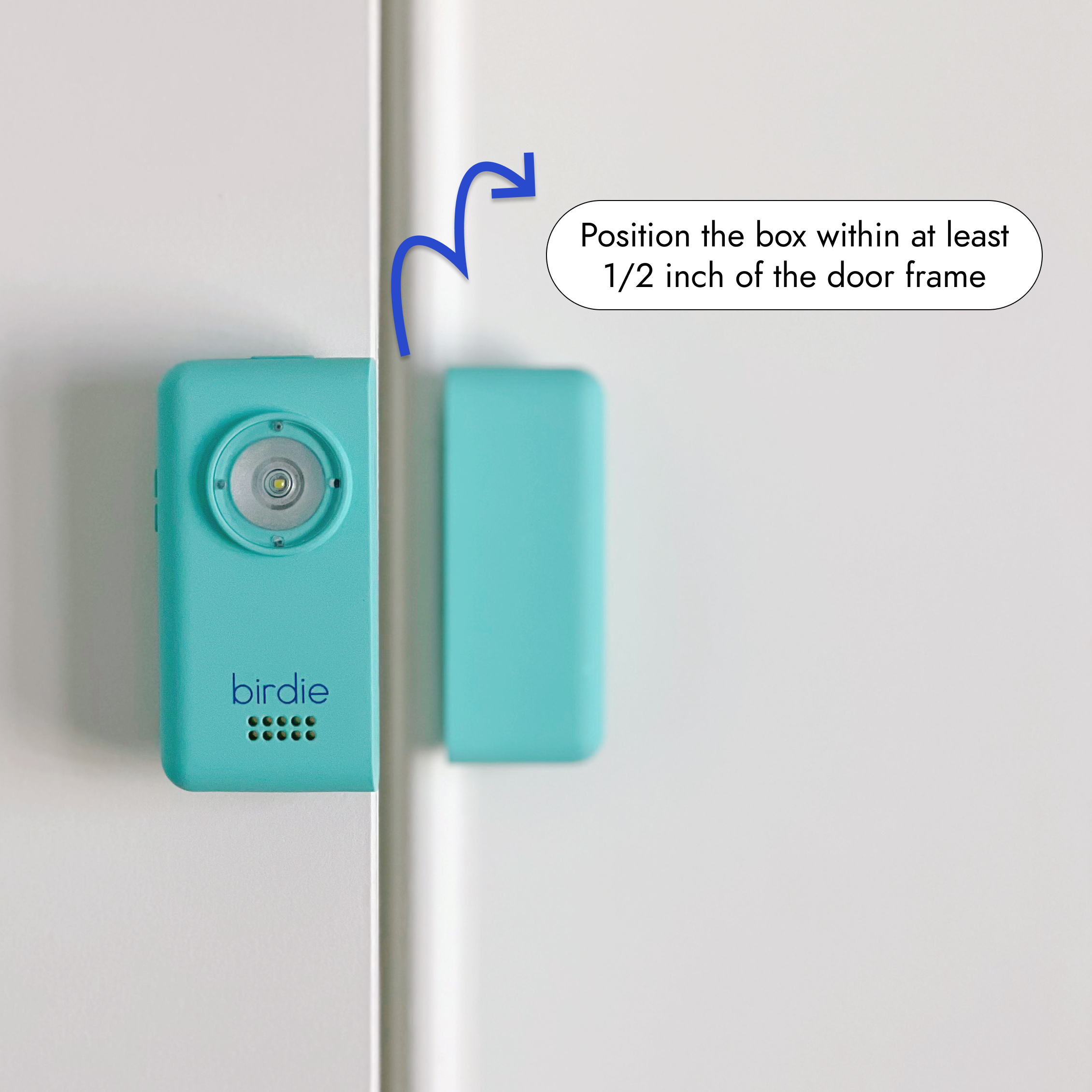 She's Birdie Birdie Box Allarme Personale Blossom con Strobo