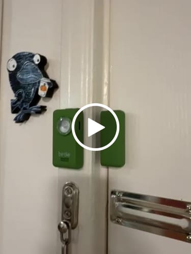 She's Birdie Birdie Box Allarme Personale Blossom con Strobo