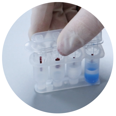 Vxell kit reagenti monouso monopaziente 20 pz biochimica
