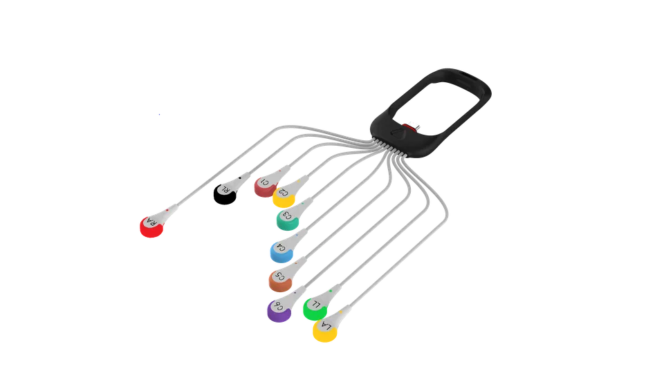 Spacelabs Holter ECG Eclipse Pro cavo 10 derivazioni snap IEC