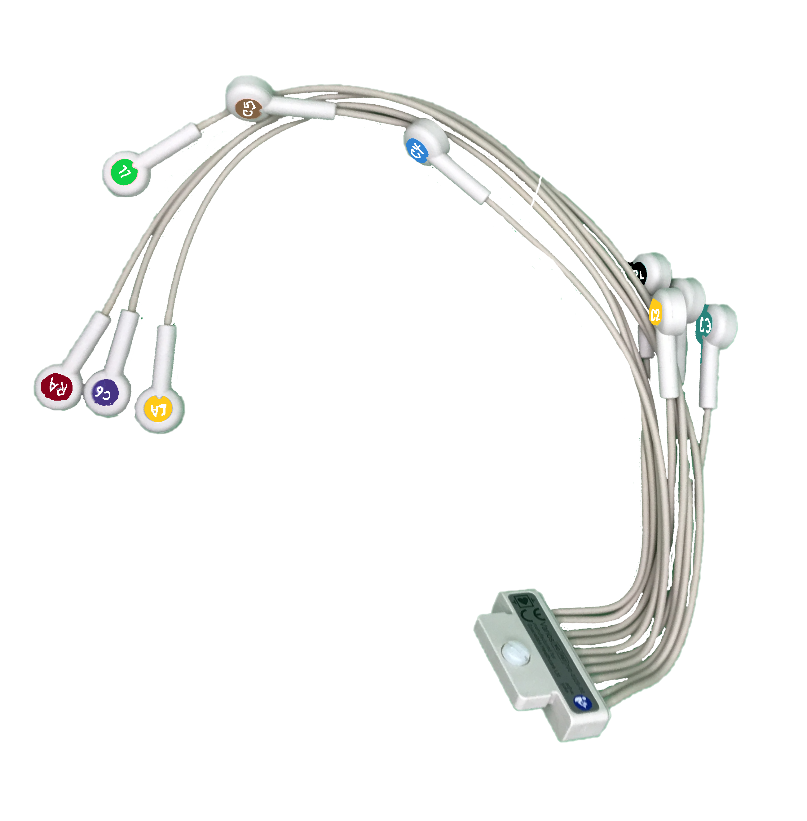 Spacelabs Lifecard CF 12 cavo ECG 12 derivazioni IEC