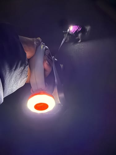 She’s Birdie Birdie Disc luce LED sirena Aqua ricaricabile