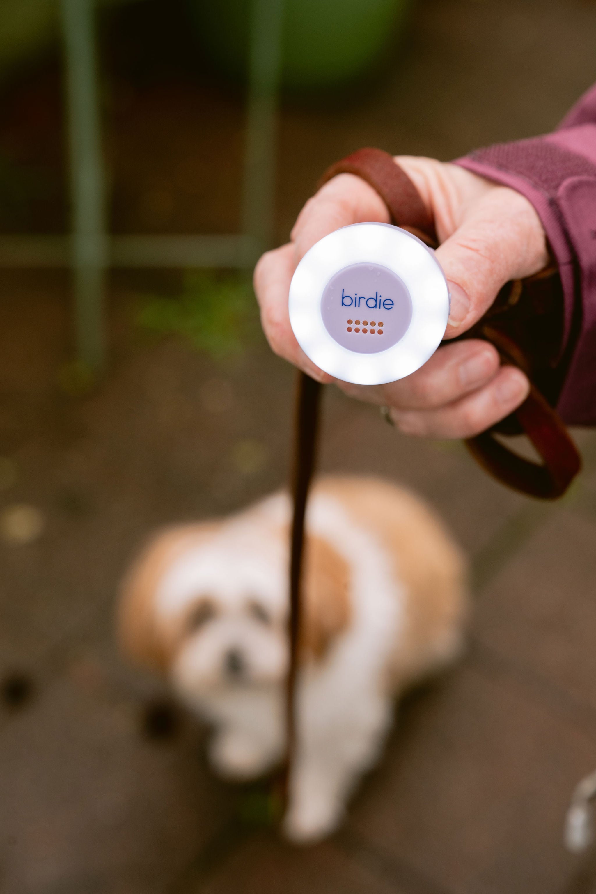 She’s Birdie Birdie Disc luce LED sirena Aqua ricaricabile