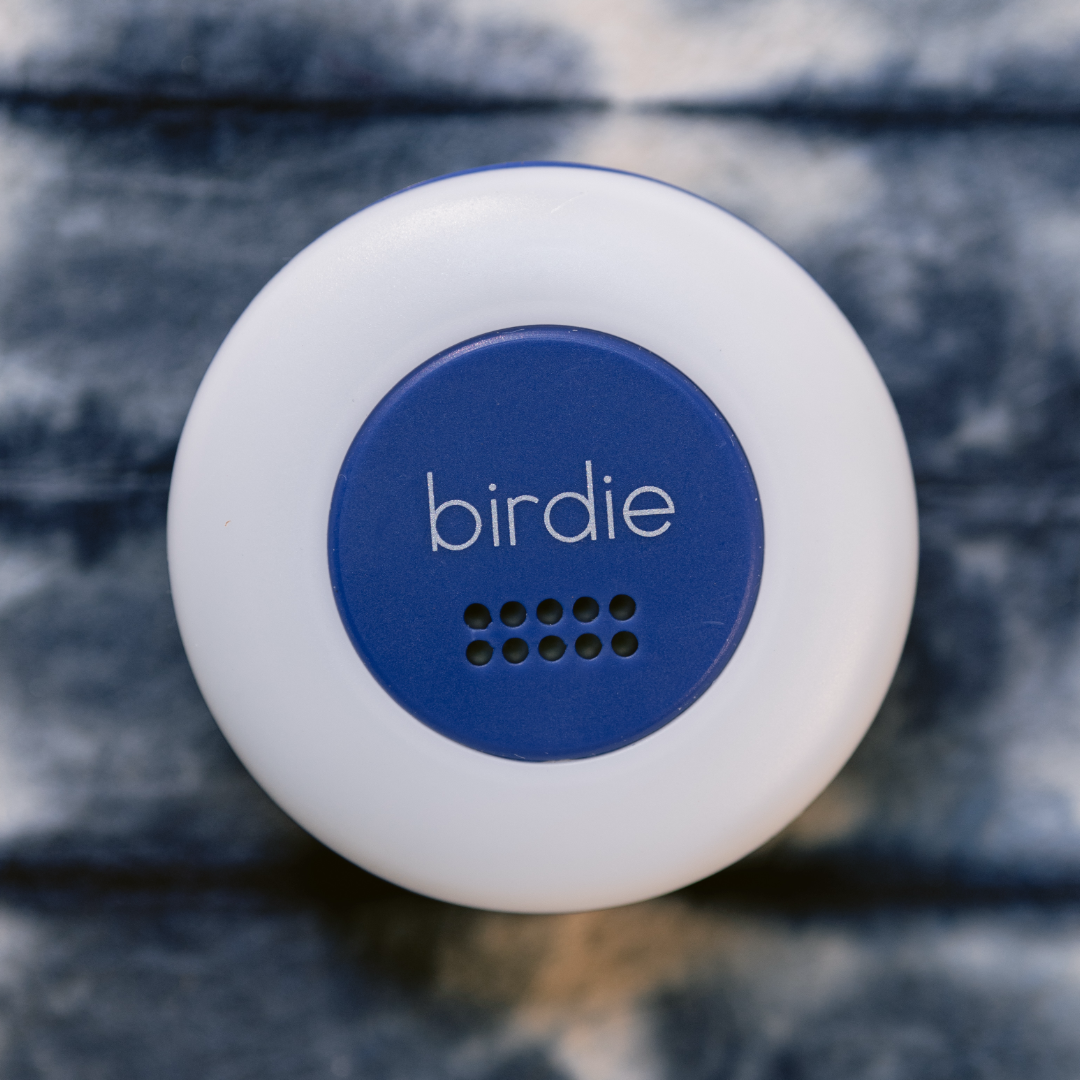 She’s Birdie Birdie Disc luce LED sirena Aqua ricaricabile