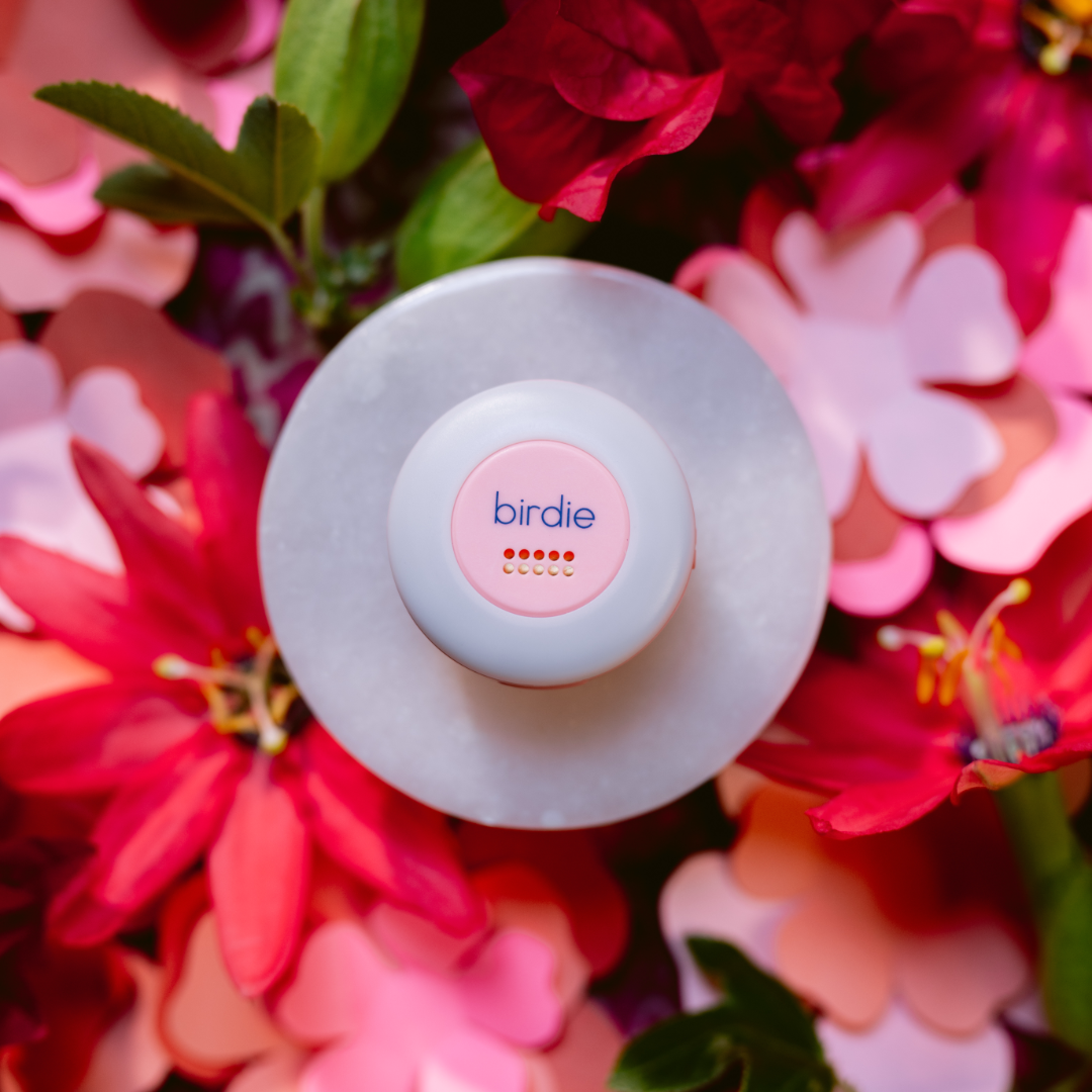 She’s Birdie Birdie Disc luce LED sirena Aqua ricaricabile